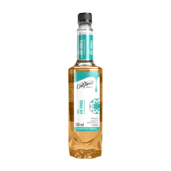 Xarope DaVinci Gourmet Gin Tônica 750ml